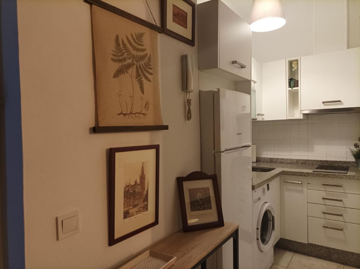 Encantador Apartamento En El Centro セビリア エクステリア 写真